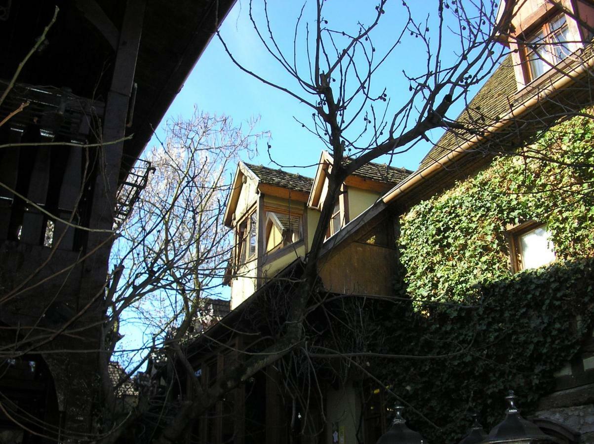 Gite Le Riesling Bergheim Exterior photo